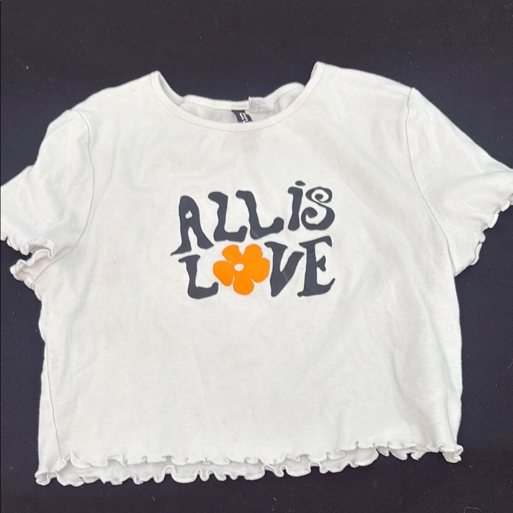 Divided White and Orange Short Sleeve Cropped Tee